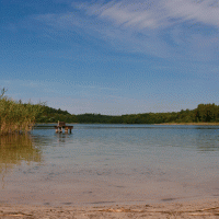 Jezero Müritz – EMOZION / Shutterstock
