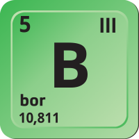 Bor – CoJeCo.cz (CC BY-SA 4.0)