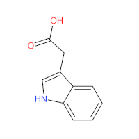 Indoloctová kyselina, strukturní vzorec – CoJeCo.cz, CC BY 4.0