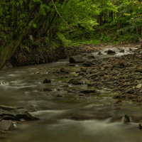 Řeka Udava – Michael Nosek / Shutterstock