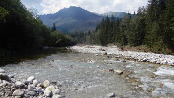 Biela voda poblíž Lysé Poľany – Profimedia.CZ