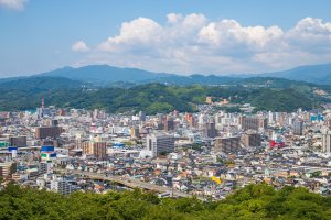 Macujama – F.F.YSTW / Shutterstock