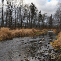 Řeka Osoblaha – Petr Szymonik / Shutterstock