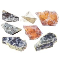 Slídy – KrimKate / Shutterstock