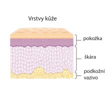 Lidská kůže, ilustrace – solar22 / Shutterstock