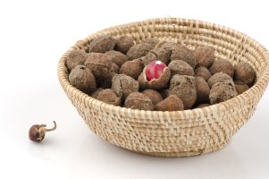 Vigna podzemní (Vigna subterranea), jednosemenné lusky v košíku – wasanajai / Shutterstock