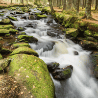 Hamersky stream – Nadezda Murmakova / Shutterstock