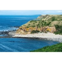 Komandorské ostrovy – Cherkashin Denis / Shutterstock