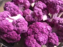 Brukev zelná, růžová odrůda květáku (Brassica oleracea convar. botrytis) – Anahy Modeneis / Shutterstock