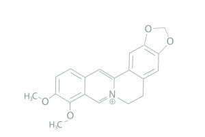Alkaloid berberin, konfigurační vzorec molekuly – Inna Kim / Shutterstock