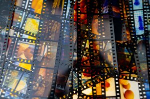 Barevný negativ – Andriy Solovyov / Shutterstock