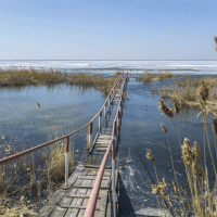 Jezero Tengiz – Torsten Pursche / Shutterstock