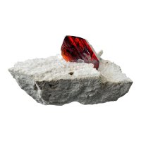 Brookit – Albert Russ / Shutterstock