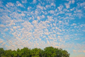 Oblak typu Cirrocumulus – Marijs Jan / Shutterstock