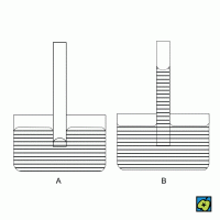 Kapilární deprese (A) a elevance (B) – CoJeCo.cz (CC BY-SA 4.0)