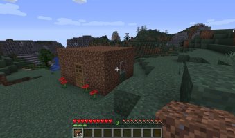 Minecraft – Yuriy Vlasenko / Shutterstock