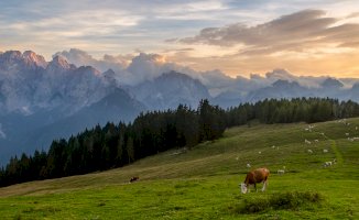 Julské Alpy – Sergey Golotvin / Shutterstock