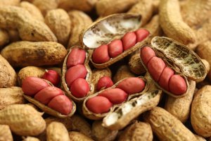 Neloupané arašídy – Sylvette / Shutterstock