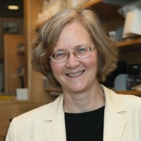 Elizabeth H. Blackburn – Profimedia.CZ