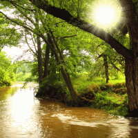 Řeka Radbuza – Kletr / Shutterstock