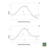 Schéma potenciálové bariéry: (A) exotermické reakce, (B) endotermické reakce; (1) výchozí látky, (2) aktivační energie, (3) aktivovaný komplex, (4-A) uvolněná, (4-B) pohlcená energie, (5) reakční zplodiny. – CoJeCo.cz (CC BY-SA 4.0)