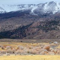 Sonora – davidrh / Shutterstock