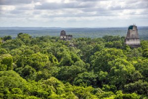 Tikal – DC_Aperture / Shutterstock