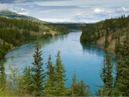 Řeka Yukon – Pi-Lens / Shutterstock