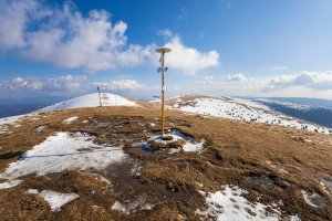 Ostredok – M-SUR / Shutterstock