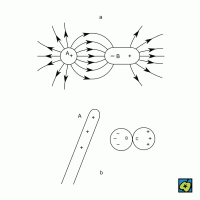 Elektrostatická indukce: a) vznik pólů ve vodiči, b) nabíjení indukcí – CoJeCo.cz (CC BY-SA 4.0)