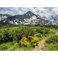 Pirin – stoyanh / Shutterstock