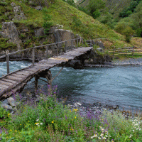 Řeka Arguň – k_samurkas / Shutterstock