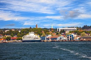 Moss – Nightman1965 / Shutterstock