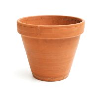 Keramický kořenáč – Diana Taliun / Shutterstock