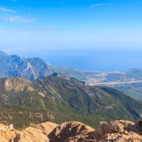 Taurus – Olha Solodenko / Shutterstock