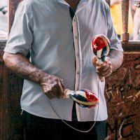 Hra na maracas (rumba koule) – Yuting Gao / Pexels.com