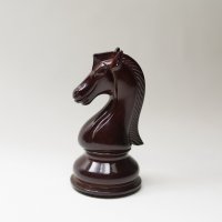 Jezdec, šachy – Sebastian Robayna / Shutterstock