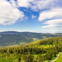 Harz – Marcus_Hofmann / Shutterstock