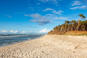 Darss – Bildagentur Zoonar GmbH / Shutterstock