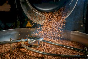 Pražení kávy – Sergey_Bogomyako / Shutterstock