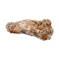 Bronzit – vvoe / Shutterstock