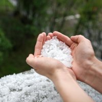 Kroupy – LaineN / Shutterstock