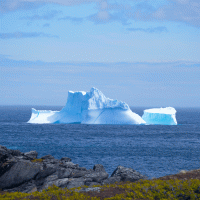 Labradorské moře – Pugalenthi Iniabarathi / Shutterstock