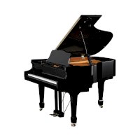Piano – All Music Instruments / Shutterstock