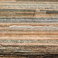 Ortorula – Nuntiya / Shutterstock