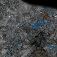 Haüyn – Ibe van Oort / Shutterstock