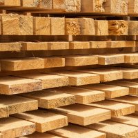 Deskové řezivo – My Sunnyday / Shutterstock