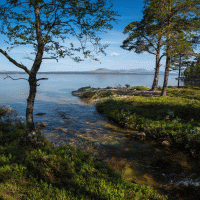 Jezero Femund – PhotoVisions / Shutterstock