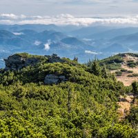 Kráľova hoľa – PeterVrabel / Shutterstock