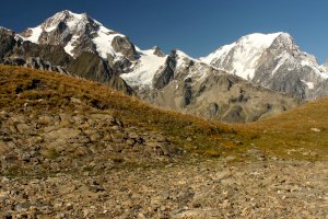 Grajské Alpy – patjo / Shutterstock